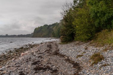Baltık Denizi kıyısı ve Goor, Mecklenburg-Batı Pomerania, Almanya 'daki çakıl taşı plajı