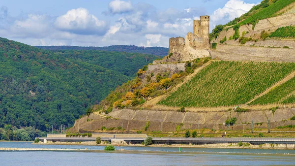 德国黑森州 吕德海姆 2020年8月19日 埃伦费尔斯城堡及周边葡萄园景观 — 图库照片