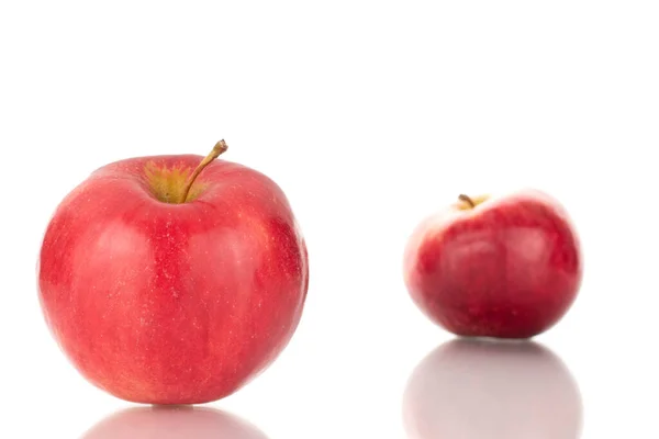 Zwei Reife Rote Äpfel Makro Isoliert Auf Weißem Hintergrund — Stockfoto