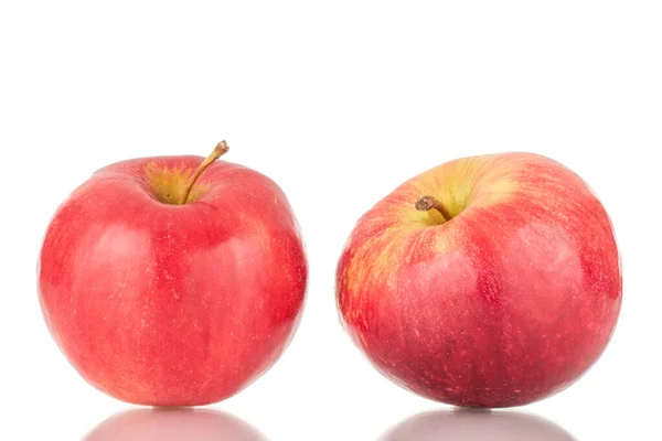 Два Стиглих Червоних Яблука Макро Ізольовані Білому Тлі — стокове фото