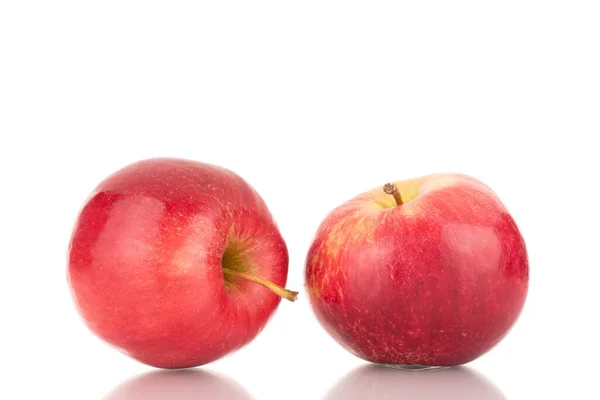 Two Ripe Red Apples Macro Isolated White Background — Stock Photo, Image