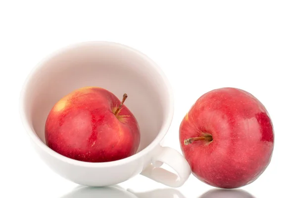 两个多汁的 成熟的 红色的苹果 有一个白色的陶瓷杯 宏观的 孤立在一个白色的背景 — 图库照片