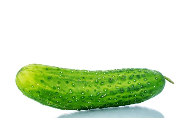 One Ripe Green Cucumber Macro Isolated White Background — Stock Photo, Image