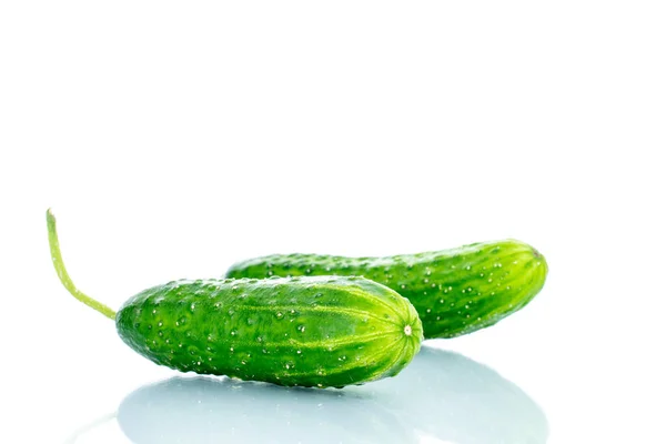Twee Rijpe Groene Komkommers Macro Geïsoleerd Witte Achtergrond — Stockfoto