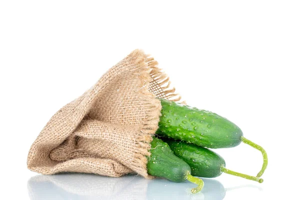 Three Ripe Green Cucumbers Burlap Sack Macro Isolated White Background — Stock Photo, Image