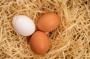 Üç diyet organik taze, lezzetli, beyaz ve bej, tavuk yumurtaları, doğal ahşap parçalarının üzerinde, üst görünümde..