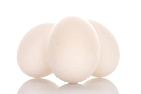 Három Csirke Tojás Makró Elszigetelt Fehér Alapon — Stock Fotó