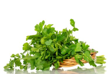 Bir demet yeşil maydanozlu asma çelengi, yakın plan, beyaz üzerine izole edilmiş..