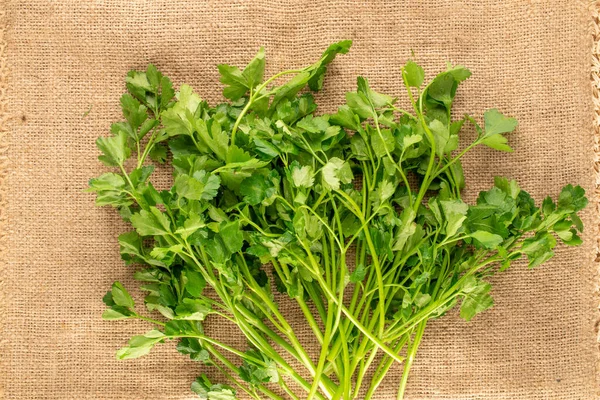 One Bunch Fresh Green Parsley Burlap Macro Top View — Stock Photo, Image