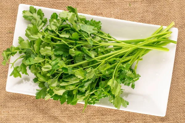 One Bunch Fresh Green Parsley White Ceramic Plate Burlap Macro — Stock Photo, Image