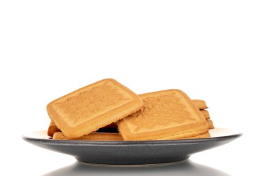 Beyaz arka planda izole edilmiş, seramik bir fincan tabağı, makro üzerinde birkaç lezzetli şeker kurabiyesi..