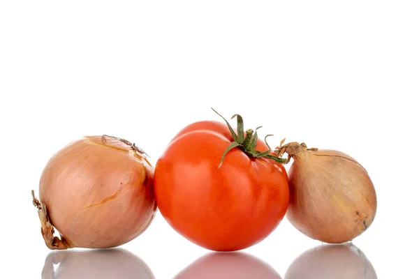 토마토 알뿌리인 매크로 배경에 — 스톡 사진