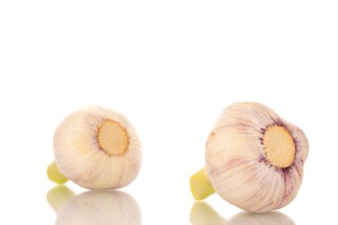 İki baş sarımsak, makro, beyaz arka planda izole edilmiş..