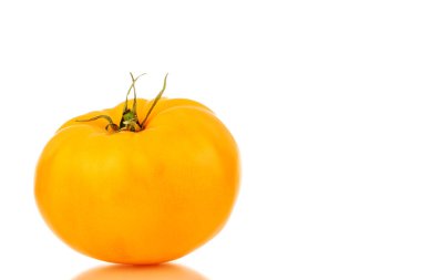 Bir olgun sarı domates, yakın plan, beyaz arka planda izole edilmiş..