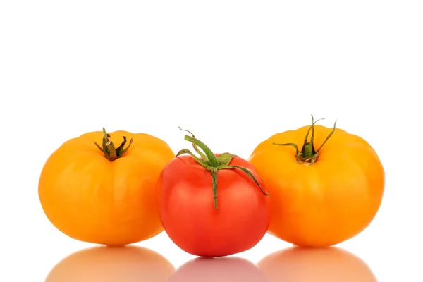 Three Organic Tomatoes One Red Two Yellow Close Isolated White — Zdjęcie stockowe