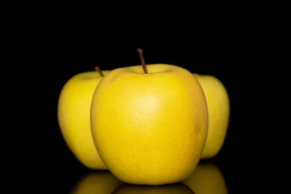 Tre Mogna Gula Äpplen Närbild Isolerad Svart Bakgrund — Stockfoto