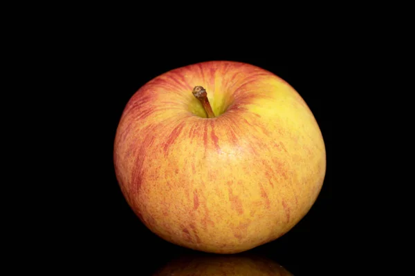 One Juicy Organic Apple Close Isolated Black Background — Photo