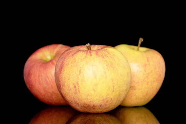 Trois Pommes Bio Juteuses Gros Plan Isolées Sur Fond Noir — Photo