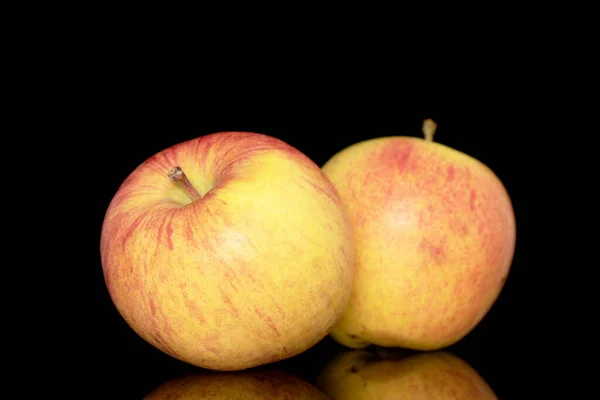İki olgun elma, yakın plan, siyah bir arkaplanda izole edilmiş..