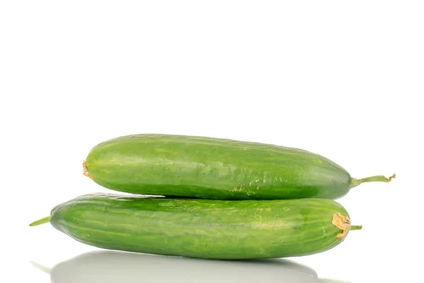 Two Juicy Smooth Cucumbers Macro Isolated White Background — стоковое фото