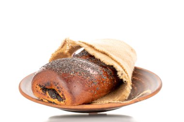 Bir adet iştah açıcı ev yapımı haşhaş tohumu hamur tabağında, yakın plan, beyaz arka planda izole edilmiş..