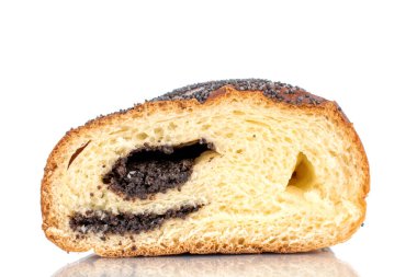 Bir dilim ev yapımı haşhaş tohumu, makro, beyaz arka planda izole edilmiş..