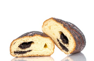 İki parça lezzetli ev yapımı haşhaş tohumu, yakın plan, beyaz arka planda izole..