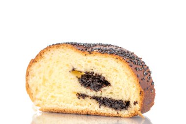 Bir dilim ev yapımı haşhaş tohumu, makro, beyaz arka planda izole edilmiş..