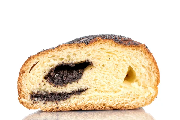 Bir dilim ev yapımı haşhaş tohumu, makro, beyaz arka planda izole edilmiş..