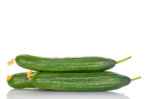 Three Juicy Smooth Cucumbers Macro Isolated White Background — Photo