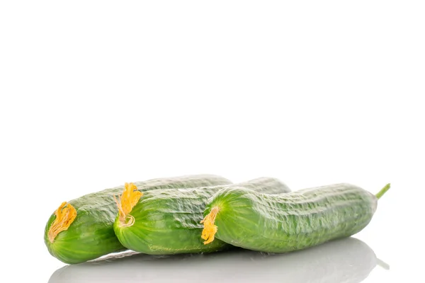 Three Juicy Green Cucumbers Close Isolated White — Zdjęcie stockowe