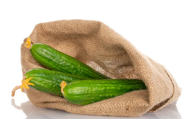 Three Juicy Green Cucumbers Close Isolated White — Foto Stock