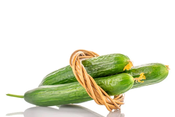Three Juicy Green Cucumbers Close Isolated White — Zdjęcie stockowe