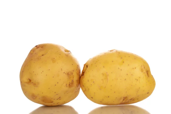 Dos Patatas Orgánicas Crudas Cerca Aisladas Sobre Fondo Blanco —  Fotos de Stock