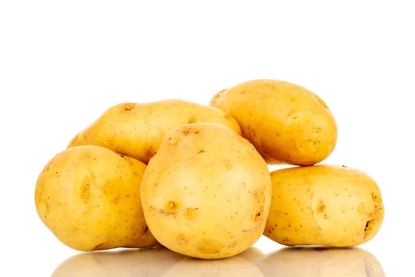 Αρκετές Ακατέργαστες Βιολογικές Πατάτες Κοντινές Απομονωμένες Λευκό Φόντο — Φωτογραφία Αρχείου