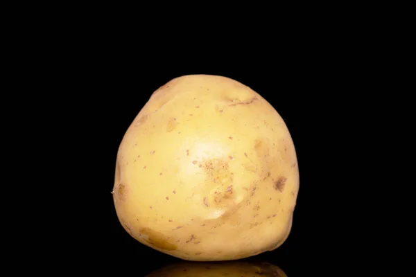 One Raw Organic Potato Close Isolated Black Background — Fotografia de Stock