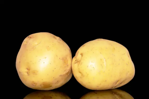 Δύο Ακατέργαστες Βιολογικές Πατάτες Κοντινές Απομονωμένες Μαύρο Φόντο — Φωτογραφία Αρχείου