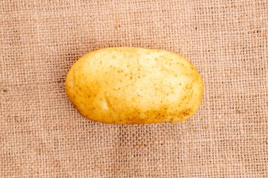 Bir taze, soyulmamış, organik sulu patates, arka planda jüt kumaş, üst görünüm.