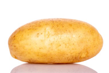 Bir taze, soyulmamış, çiğ, organik, patates, yakın plan, beyaz arka plan.