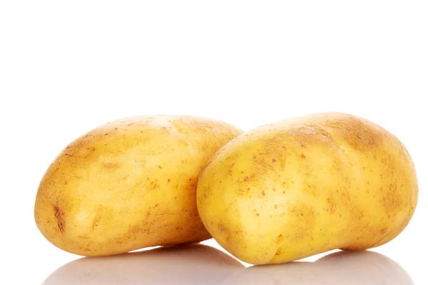 Δύο Φρέσκες Όχι Καθαρισμένες Άψητες Βιολογικές Ζουμερές Πατάτες Λευκό Φόντο — Φωτογραφία Αρχείου