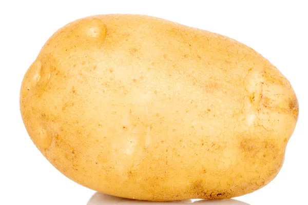 Eén Vers Niet Geschild Rauw Biologisch Aardappel Close Een Witte — Stockfoto