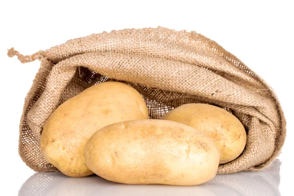 Drei Frische Ungeschälte Rohe Biologische Saftige Kartoffeln Mit Jutebeutel Nahaufnahme — Stockfoto