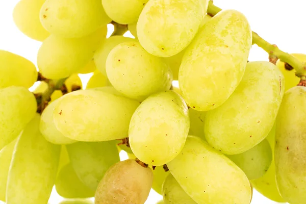 One Bunch White Seedless Grapes Close Isolated White Background — Stock Photo, Image