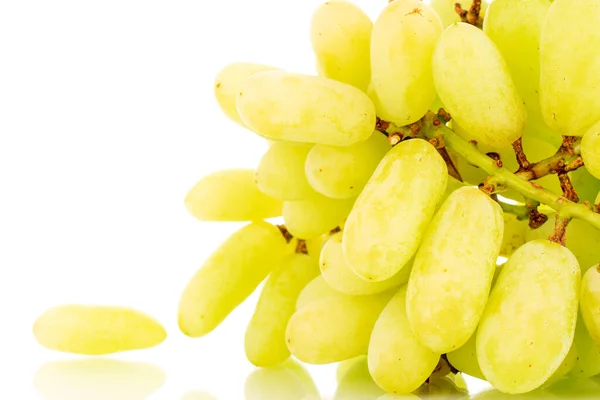 Racimo Uvas Blancas Sin Semillas Cerca Aisladas Sobre Fondo Blanco — Foto de Stock