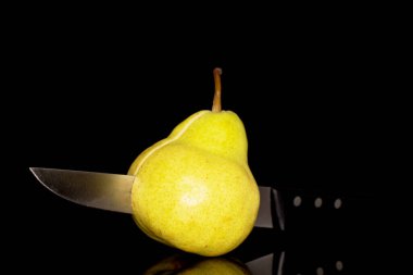 Metal bıçaklı sulu sarı bir armut, yakın plan, siyah arka planda izole edilmiş..
