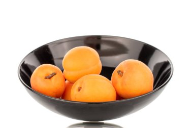 Seramik tabakla birkaç tane olgun kayısı, yakın plan, beyaz arka plan izole edilmiş..