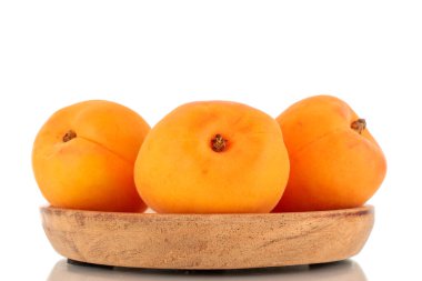 Ahşap tepside birkaç tane olgun kayısı, yakın plan, beyaz arka plan izole edilmiş..