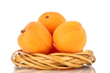 Asma çelenkli üç olgun kayısı, yakın plan, beyaz arka planda izole edilmiş..