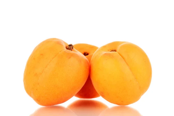 Three Ripe Sweet Apricots Close Isolated White Background — Stock Photo, Image