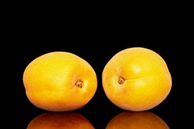 İki olgun tatlı kayısı, yakın plan, siyah bir arkaplanda izole edilmiş..